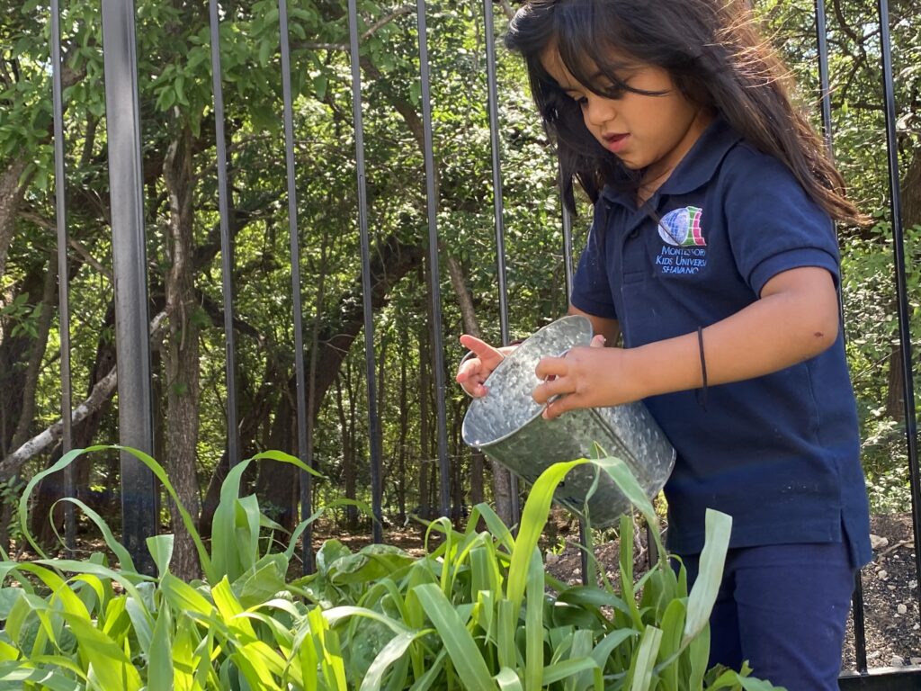 Children gardening at Montessori Kids Universe Bannockburn